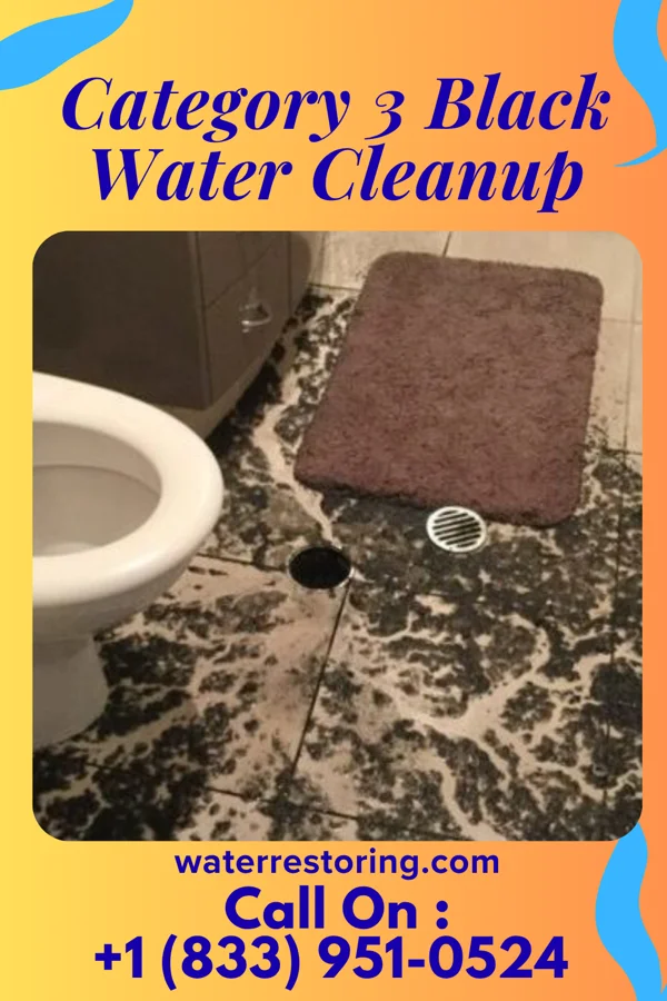 Category 3 Black Water Cleanup in Frannie, WY