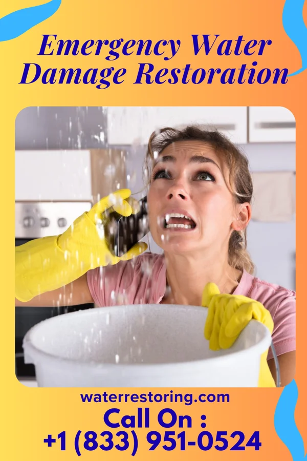 Emergency Water Damage Restoration in Frannie, WY