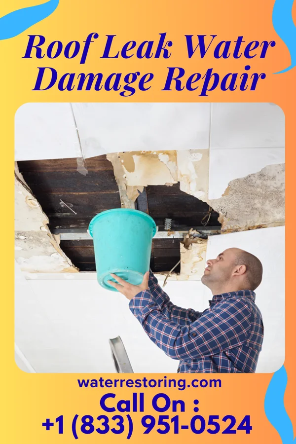 Roof Leak Water Damage Repair in Frannie, WY