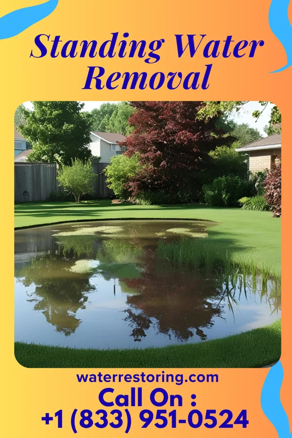 Standing Water Removal in Frannie, WY